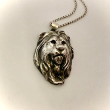 Load image into Gallery viewer, Lion Totem Silver pendant and chain