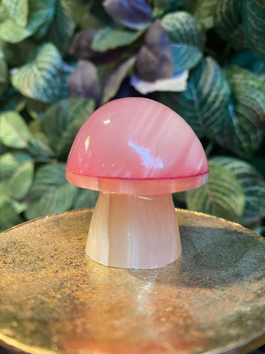 Pink Aragonite Mushroom