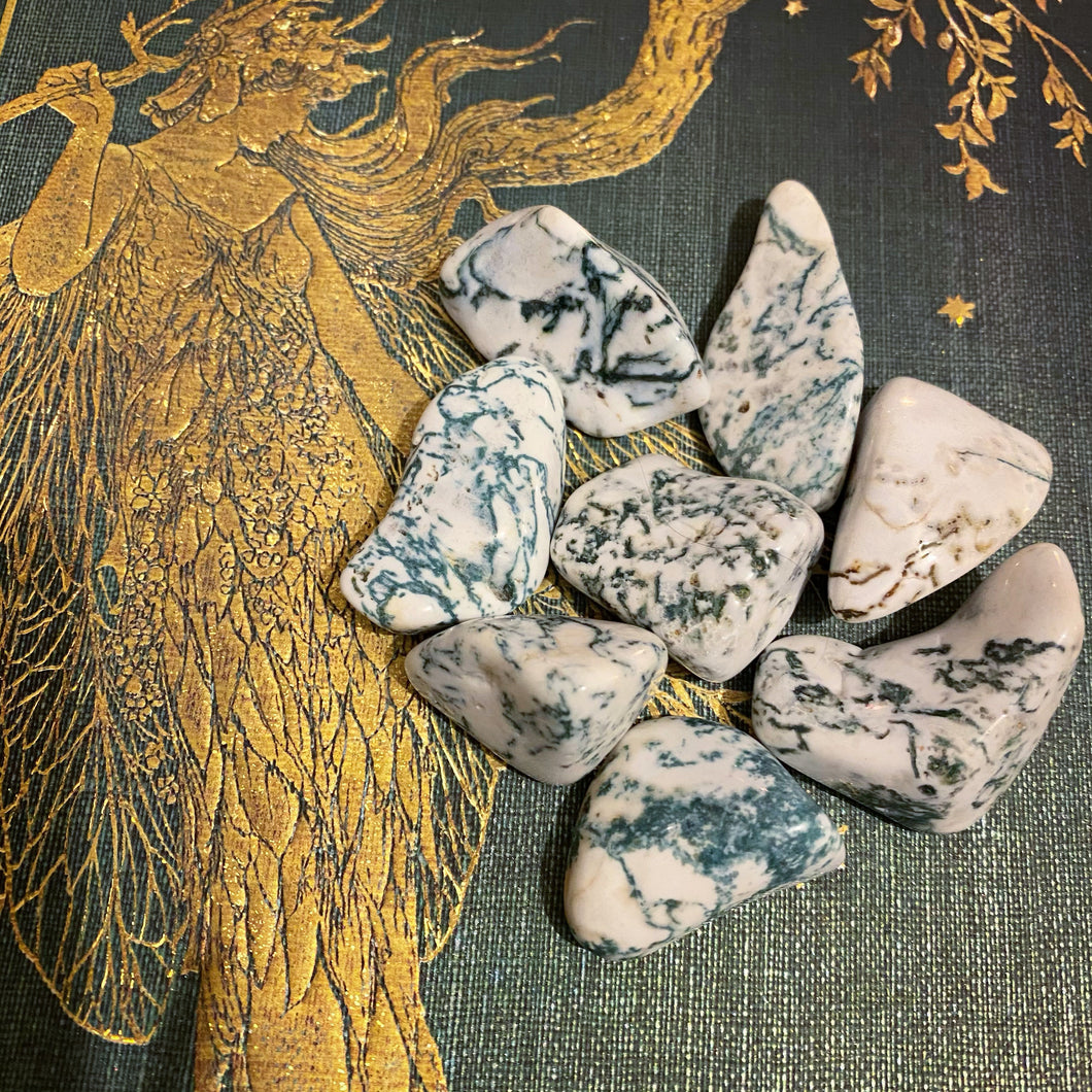 Tree Agate tumbled stone